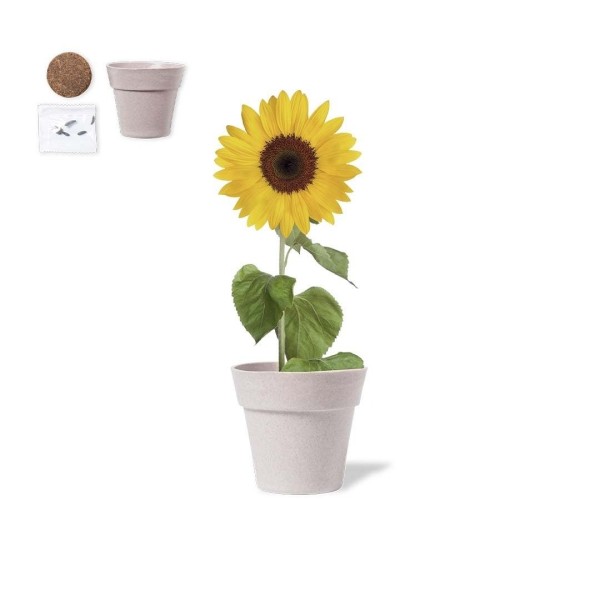 Pot de Fleurs Tumil Biodégradable avec Graines de Tournesol