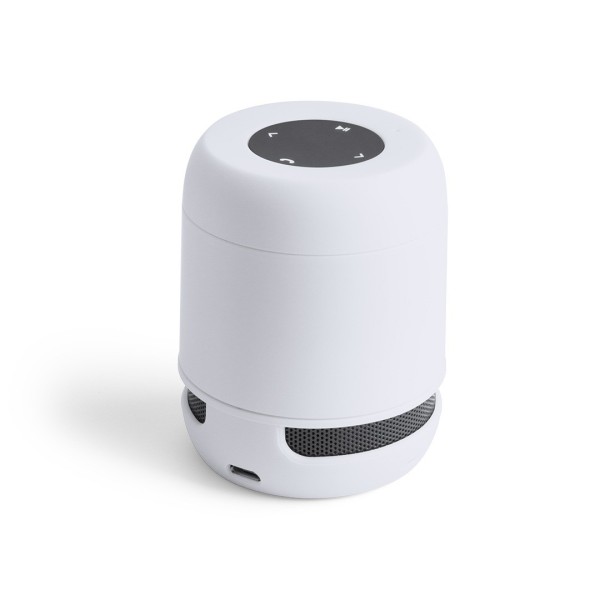 Haut-Parleur Bluetooth Compact Braiss